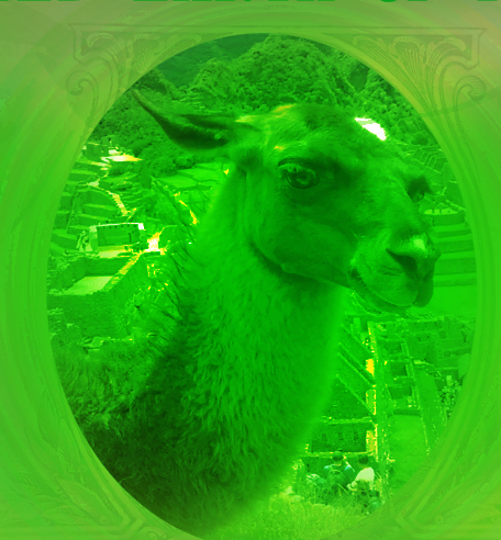 Llama Lawyer